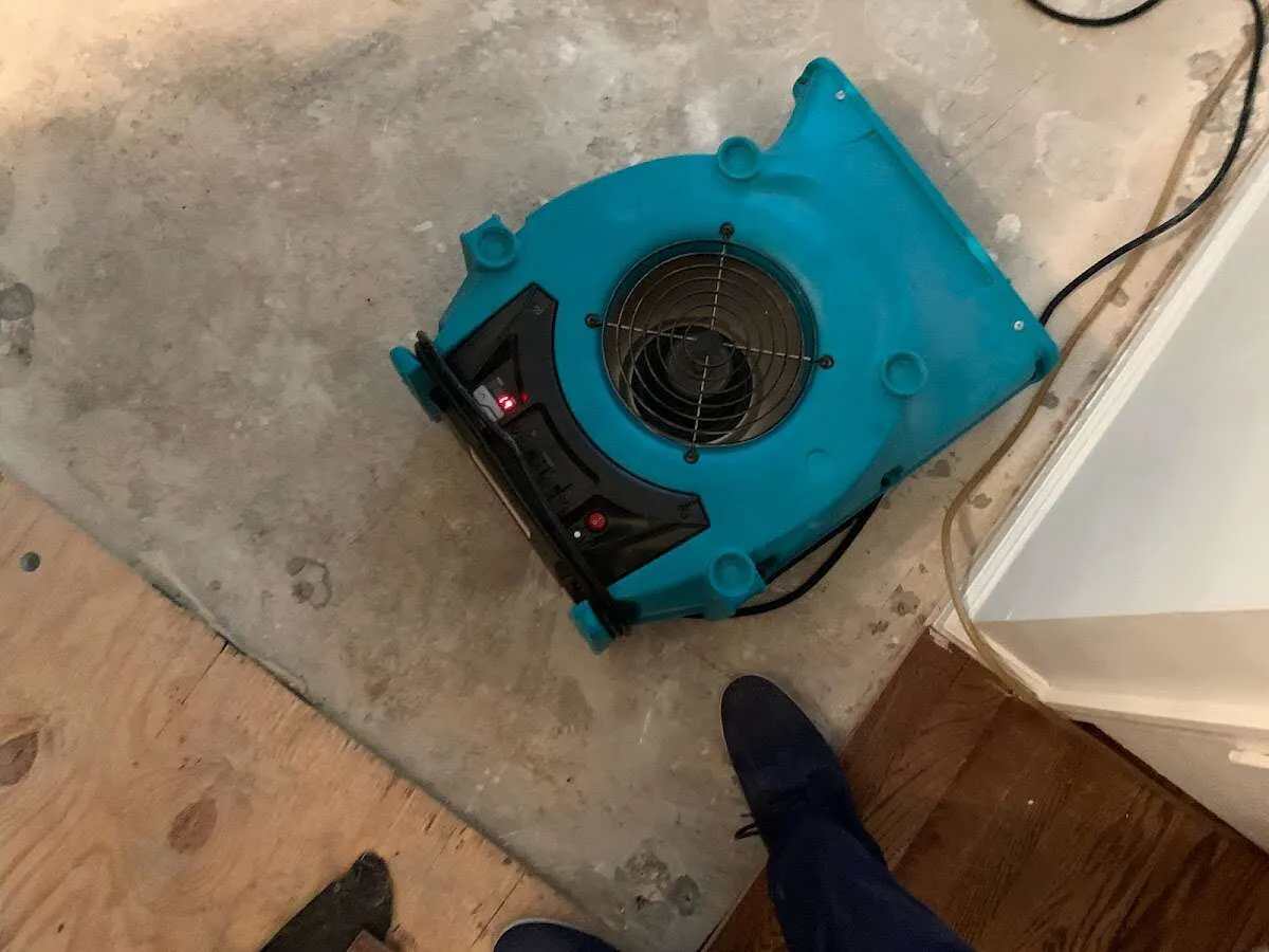 Air mover drying subfloor during Leak Detection & Repair in Woodbury